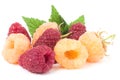 Red and yellow raspberries with leaves on a white background Royalty Free Stock Photo