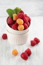Red and yellow raspberries in a plate on a light table Royalty Free Stock Photo