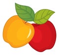 Red and Yellow Ripe Apples with Leaves. Vector Apples