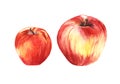 Red-yellow ripe apples. Set of two elements.