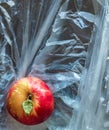 Red yellow ripe whole apple with green small leaf in a transparent cellophane plastic bag. Top view. Royalty Free Stock Photo