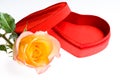 Red yellow rose and a heart shape box Royalty Free Stock Photo