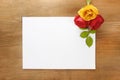 Red and yellow roses on wooden background Royalty Free Stock Photo