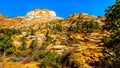 Red and Yellow Sandstone Rock Formations along the Canyon Overlook Trail in Zion National Park, Utah Royalty Free Stock Photo