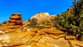 Red and Yellow Sandstone Rock Formations along the Canyon Overlook Trail in Zion National Park, Utah Royalty Free Stock Photo