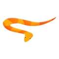 Red yellow snake icon, cartoon style