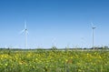 red and yellow summer flowers and wind turbines under blue sky Royalty Free Stock Photo