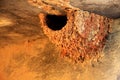 Red and yellow swallow nest.