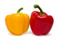 Red and yellow sweet pepper Royalty Free Stock Photo