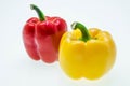 Red and yellow sweet pepper isolated on white background Royalty Free Stock Photo