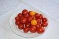 red and yellow tomato plate Royalty Free Stock Photo