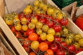 Red and yellow tomatoes in a box for sale Royalty Free Stock Photo