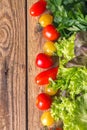 Red and yellow tomatoes, fragrant herbs and lettuce leaves Royalty Free Stock Photo