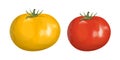 Red and yellow tomatoes.