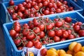 Red and yellow tomatos being sold at the farmers market Royalty Free Stock Photo