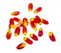 Red and yellow tulip petals on white background Royalty Free Stock Photo