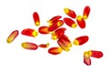 Red and yellow tulip petals on white background Royalty Free Stock Photo