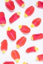 Red-yellow tulip petals on a light background. Royalty Free Stock Photo