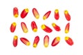 Red and yellow tulip petals on white background Royalty Free Stock Photo