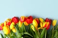Red Yellow tulips flowers on blue background. Waiting for spring, seasonal holiday. Happy Easter card, 8 march Woman International