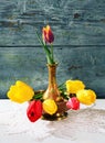 Red and yellow tulips in a metal vase Royalty Free Stock Photo