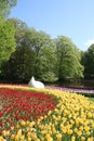 Red yellow tulips, trees, lake, Keukenhof Gardens