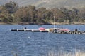 Boat Dock at Lake Murray Park San Diego California Royalty Free Stock Photo