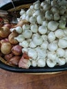 Red, yellow, and white onions in a basket for sale Royalty Free Stock Photo