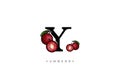 Red YUMBERRY FRUIT Vector, Great combination of Yumberry Fruit symbol with letter Y