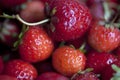 Red yummy strawberry closeup background Royalty Free Stock Photo