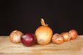 Red and zittauer onions. Royalty Free Stock Photo