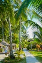 Redang island seafront path Malaysia