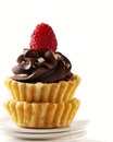 Redberry Chocolate Mini Pie