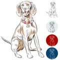 Redbone Coonhound Royalty Free Stock Photo