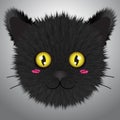 Kawaii Black Cat Head Illustration