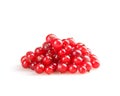 Redcurrant Royalty Free Stock Photo