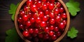 Redcurrant banner. Bowl full of redcurrant. Close-up food photography background