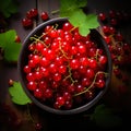 Redcurrant banner. Bowl full of redcurrant. Close-up food photography background