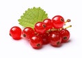 Redcurrant berries fruit on white background.Macro.AI Generative