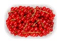 Redcurrant berries, red currant berries, in a plastic container Royalty Free Stock Photo