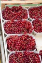 Redcurrant Fruit on Market Royalty Free Stock Photo