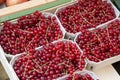 Redcurrant Fruit on Market Royalty Free Stock Photo