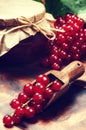 Redcurrant jam and fresh berries Royalty Free Stock Photo