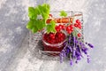 Redcurrant jam Royalty Free Stock Photo