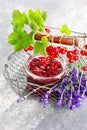 Redcurrant jam Royalty Free Stock Photo