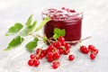 Redcurrant jam Royalty Free Stock Photo