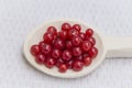 The redcurrant, or red currant Royalty Free Stock Photo