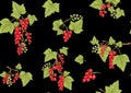 Redcurrant red ribes. Ripe berries. Seamless pattern, background