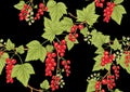 Redcurrant red ribes. Ripe berries. Seamless pattern, background