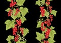 Redcurrant red ribes. Ripe berries. Seamless pattern, background